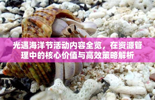 光遇海洋節(jié)活動內(nèi)容全覽，在資源管理中的核心價(jià)值與高效策略解析
