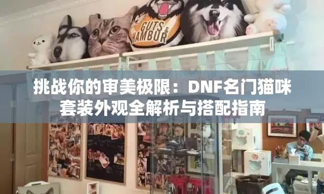 挑戰(zhàn)你的審美極限：DNF名門貓咪套裝外觀全解析與搭配指南