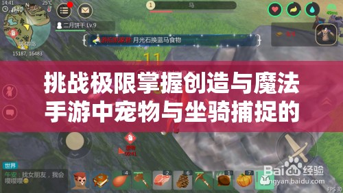 挑戰(zhàn)極限掌握創(chuàng)造與魔法手游中寵物與坐騎捕捉的全攻略技巧