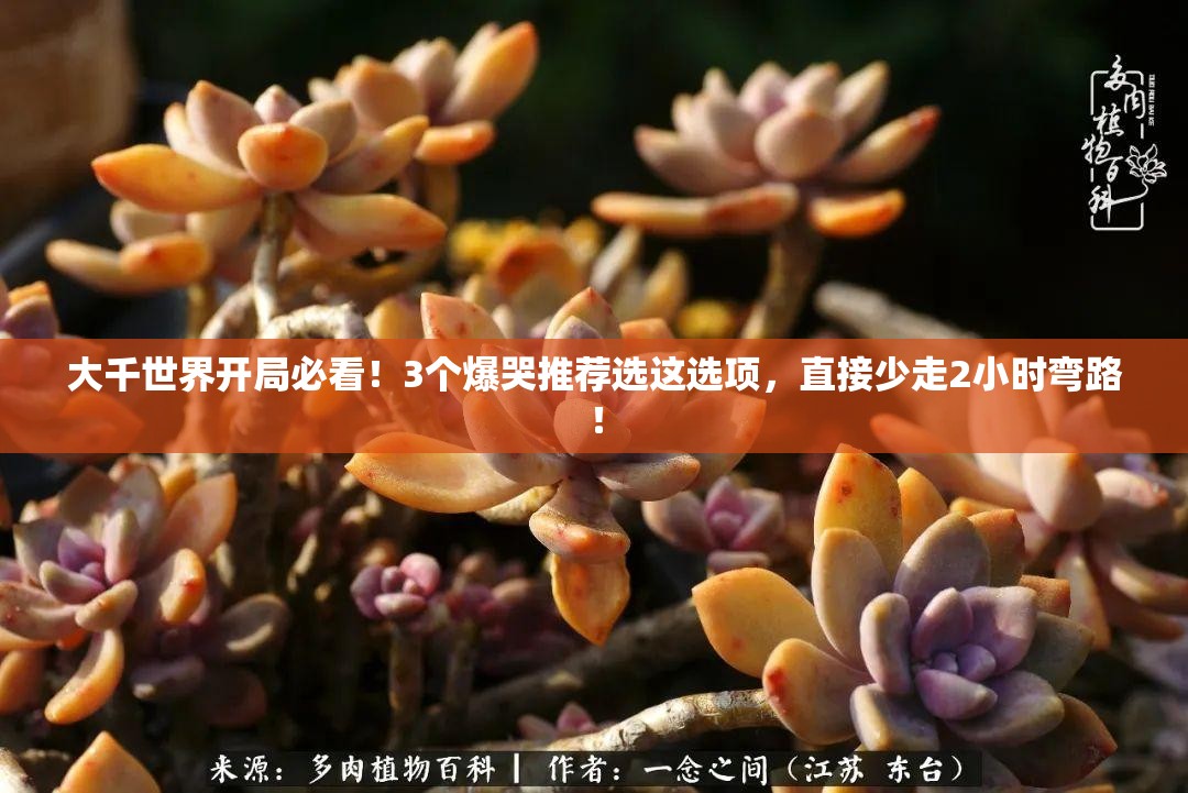 大千世界開局必看！3個(gè)爆哭推薦選這選項(xiàng)，直接少走2小時(shí)彎路！