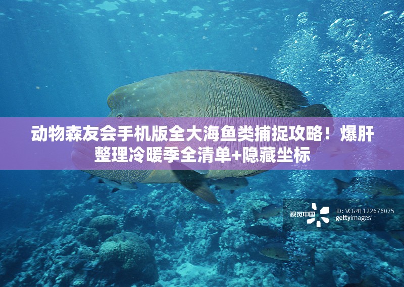 動(dòng)物森友會(huì)手機(jī)版全大海魚類捕捉攻略！爆肝整理冷暖季全清單+隱藏坐標(biāo)