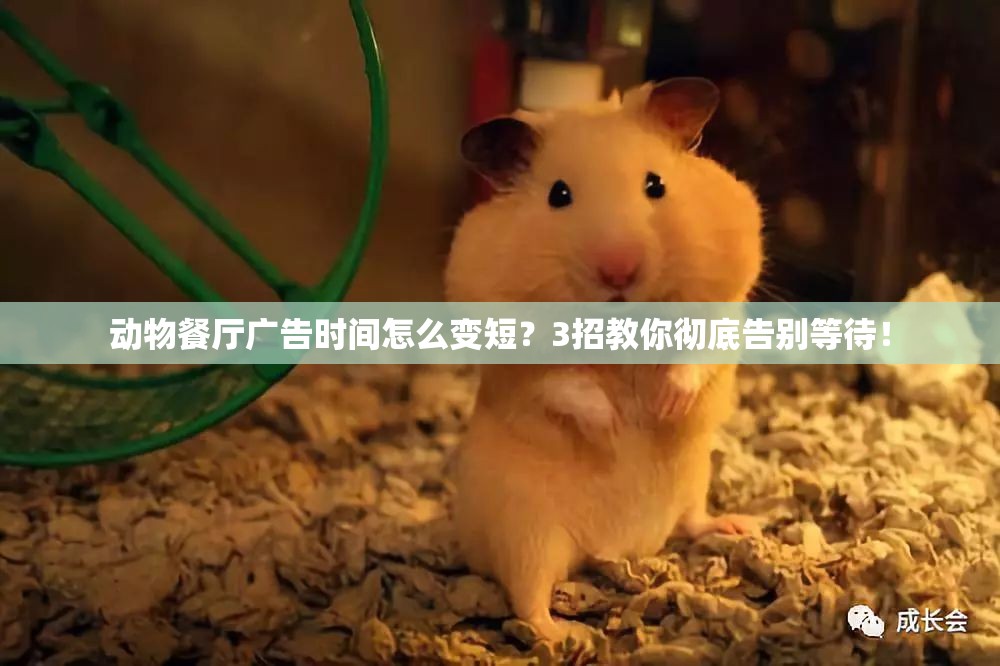 動物餐廳廣告時間怎么變短？3招教你徹底告別等待！